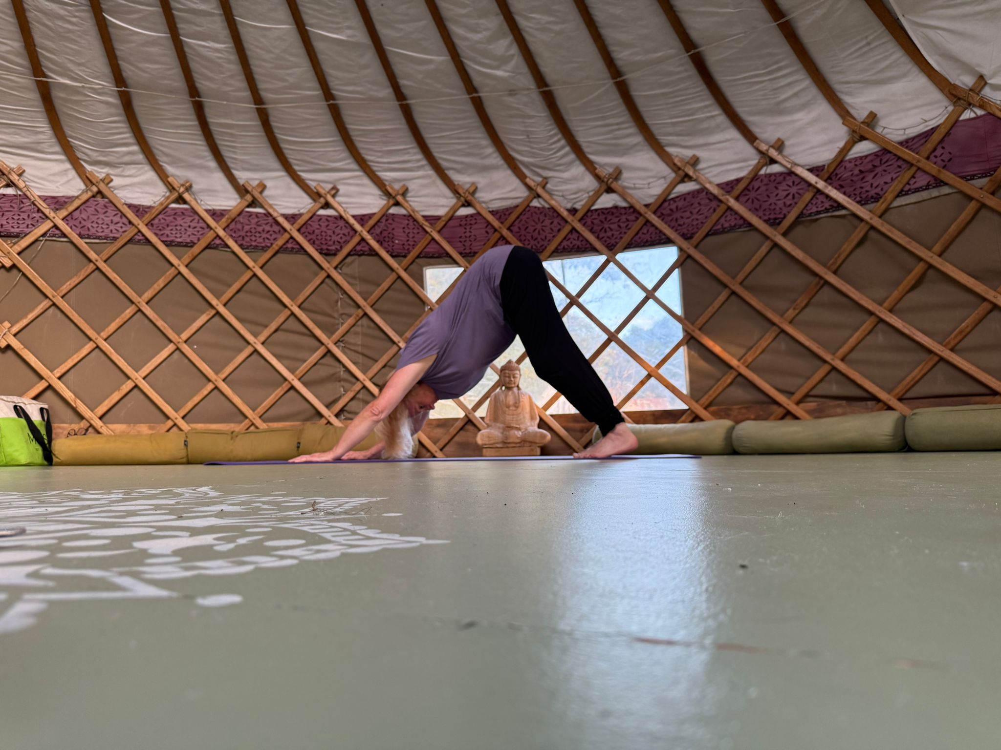 me downdog no flowers 27.9.25